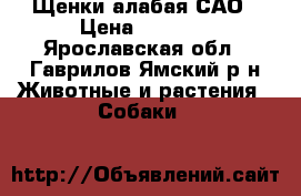 Щенки алабая САО › Цена ­ 8 000 - Ярославская обл., Гаврилов-Ямский р-н Животные и растения » Собаки   